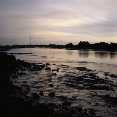 Mamiya C330 Kodak Ektachrome