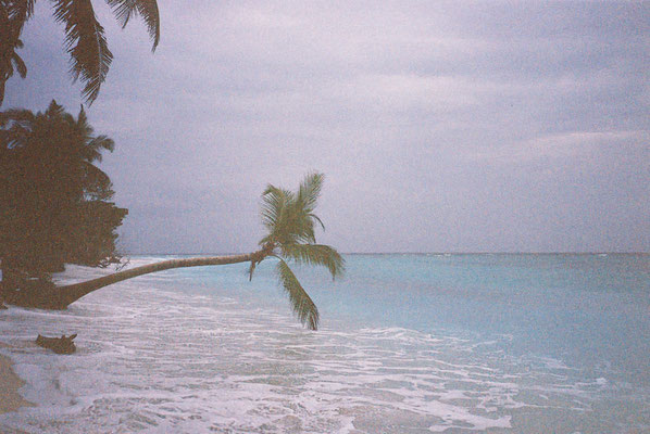 Yashica T3 Kodak Portra 400