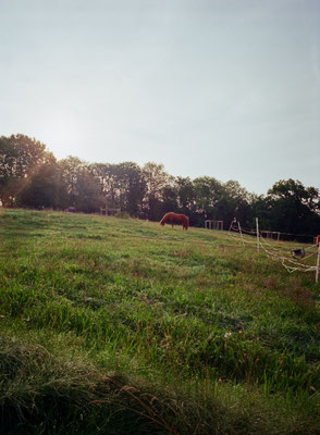 Fuji GS645w Kodak Ektar 100