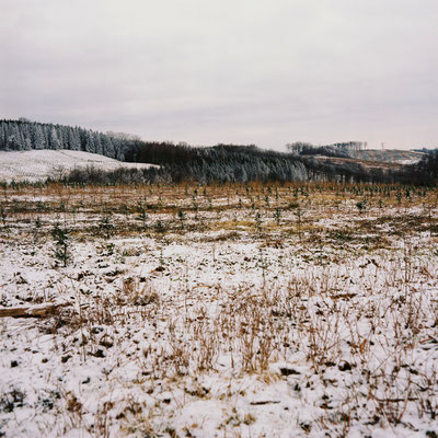 Mamiya C330 Kodak Ektar 100