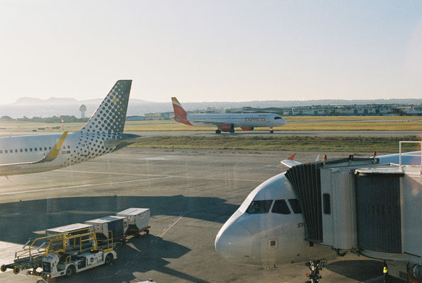 Nikon F90 Kodak Gold 200