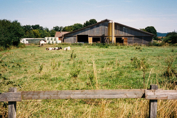 Pentax 17 Kodak Portra 400