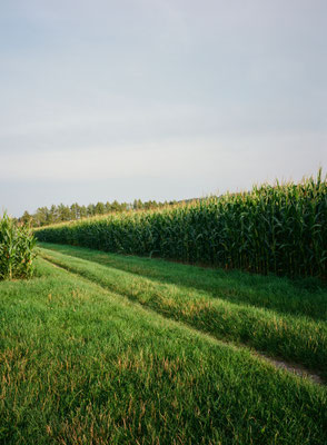 Fuji GS645w Kodak Ektar 100