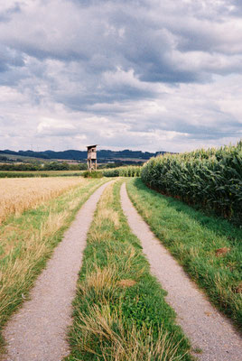 Pentax 17 Kodak Portra 400