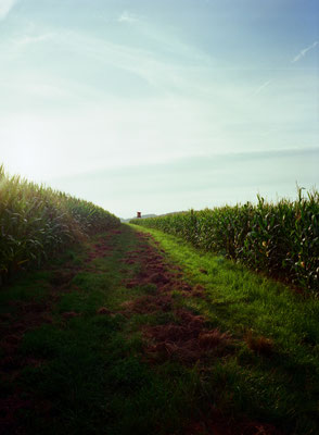 Fuji GS645w Kodak Ektar 100
