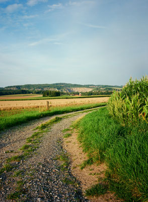 Fuji GS645w Kodak Ektar 100