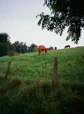 Fuji GS645w Kodak Ektar 100
