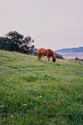 Pentax 17 Kodak Portra 400