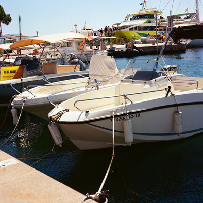 Mamiya C330 Kodak Ektar 100