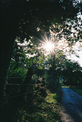 Pentax 17 Kodak Portra 400