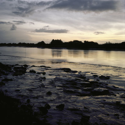Mamiya C330 Kodak Ektachrome