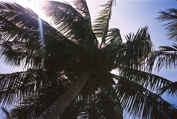 Yashica T3 Kodak Portra 400