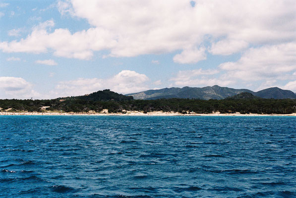 Nikon F90 Kodak Gold 200