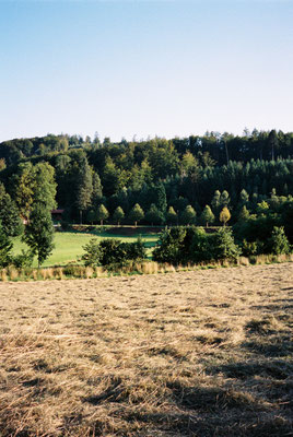 Pentax 17 Kodak Portra 400