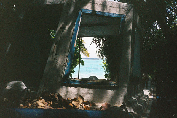 Yashica T3 Kodak Portra 400