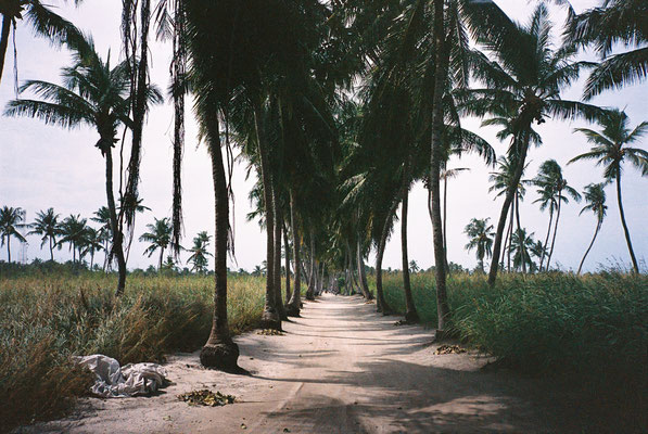 Yashica T3 Kodak Portra 400