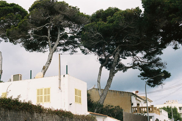 Nikon F90 Kodak Portra 400