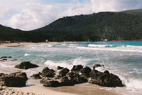 Nikon F90 Kodak Portra 400