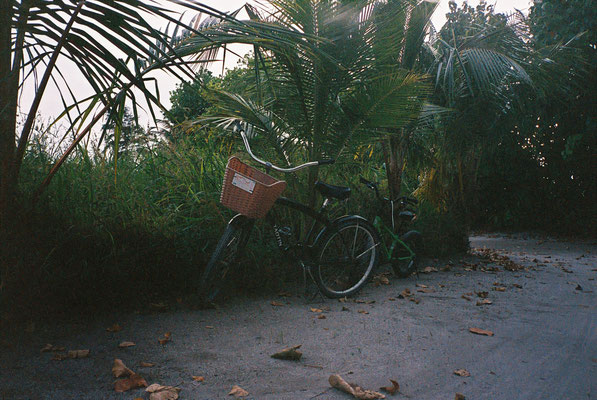 Yashica T3 Kodak Portra 400
