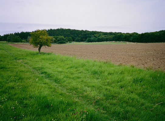 Fuji GS645w Kodak Portra 400
