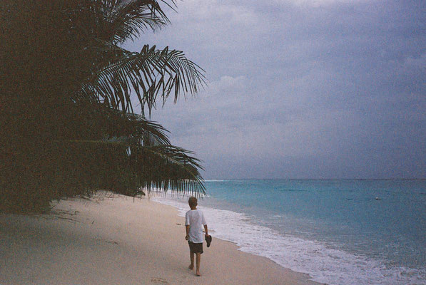 Yashica T3 Kodak Portra 400