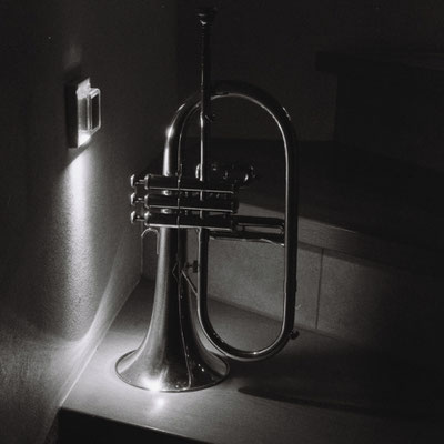 Mamiya C330 Ilford Delta 3200