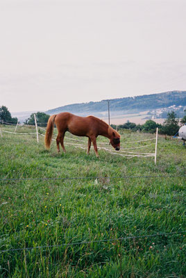 Pentax 17 Kodak Portra 400