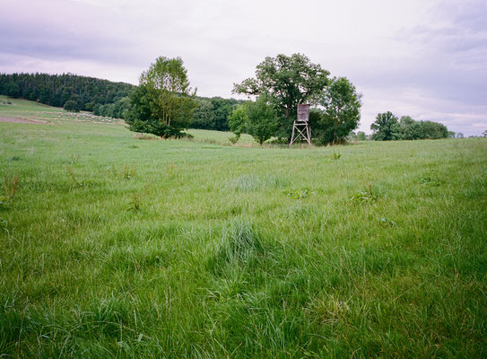 Fuji GS645w Kodak Portra 400