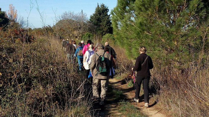 Perpignan - Le bois des chênes - 21 novembre 2017