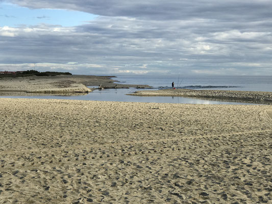 Canet - Embouchure de la Têt - 3 octobre 2017
