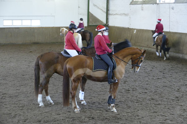 Weihnachten im Reitstall, Musikreiten 2014