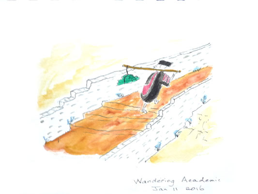 Wandering academic Jan 11 2016