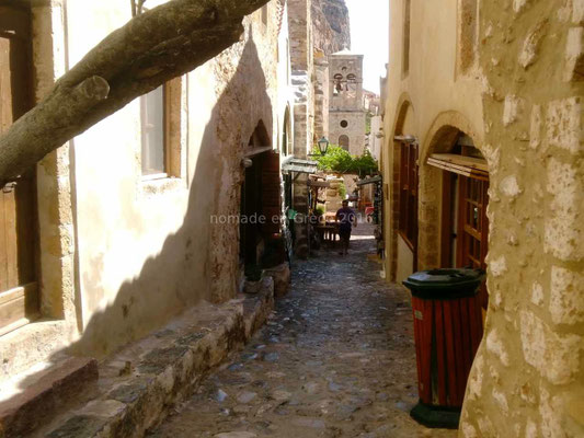 Monenvasia