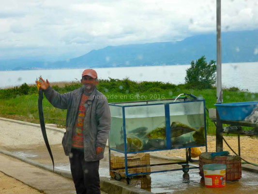 Marchand de poisson au bord de la route