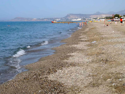 La plage où viennent pondre les tortues careta careta