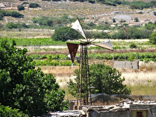 De temps en temps une éolienne est en fonctionnement mais la plupart sont inactives