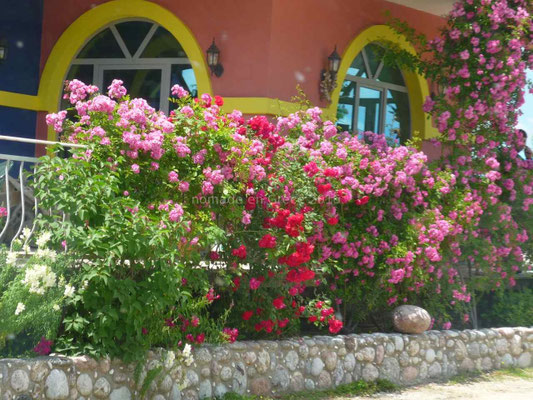 Une maison bien fleurie.