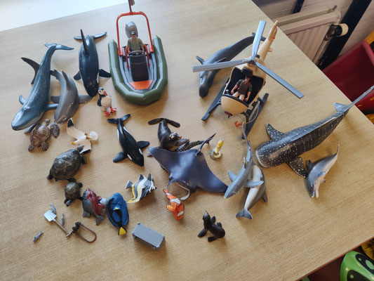 EI233 Oceanie Schleich