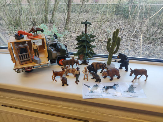 EI231 Noord-Amerikaanse dieren Schleich/Papo