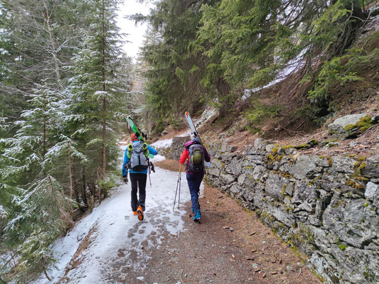Beim Start der Wanderung ins Val Viola an der Kehre Arnoga hat es mit Schnee heuer noch nicht gut ausgesehen. Wir mussten unsere Schi ca. 40 Minuten tragen.