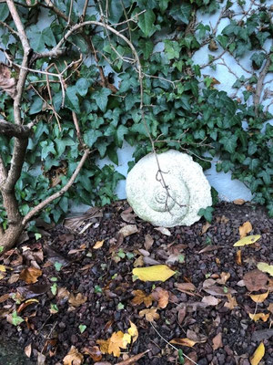 Schneckenfragment - Ton hochgebrannt - Höhe ca. 30 cm - 2024 - 45.- €