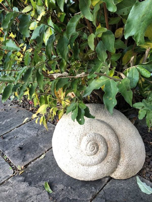 Schnecke - Steingutton hochgebrannt  (auch in anderen Farben möglich)- 35 x 40 x 20 - 5,3 Kg (2020) WINTERHART! 115.- €