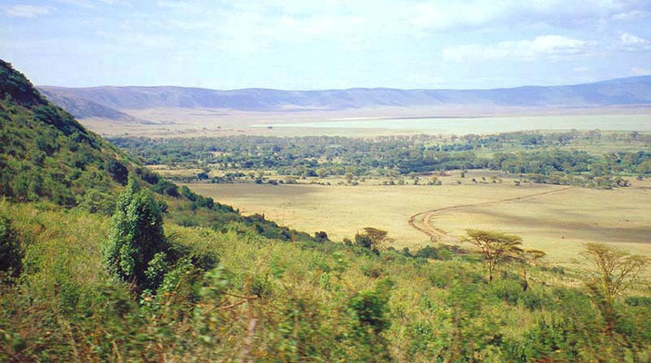 Cratere di Ngorongoro