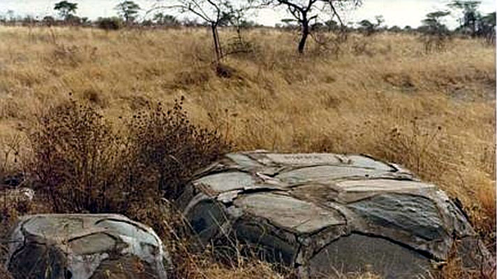 La tomba, nel Meru National Park, del ghepardo Pippa e la metà delle ceneri di Joy Adamson. A fianco, probabilmente, la tomba di un cucciolo di Pippa.