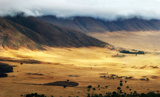 Cratere di Ngorongoro