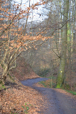 Winterliches Nachtigallental