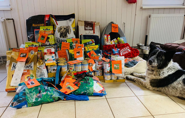 spenden von dm und dehner tierheim babenhausen