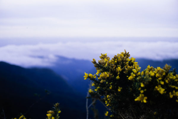 Camera: Minolta Hi-Matic 7sII  -  Film: Kodak Ektachrome 100 Slide