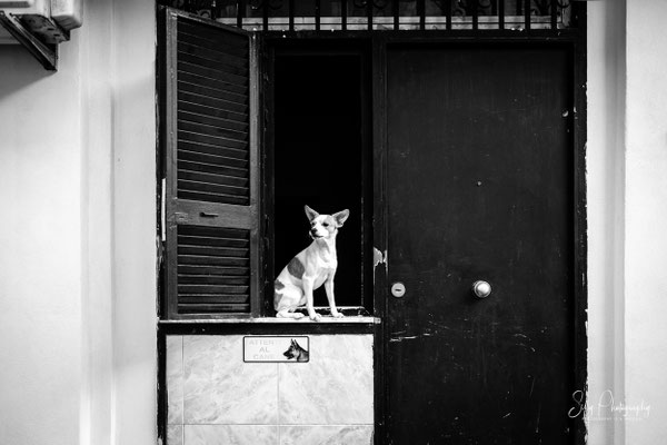 Neapel, Napoli, Street, Fujifilm X100VI, 2025, © Silly Photography