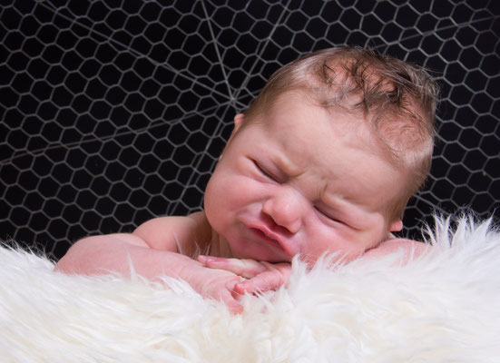 Babyfotograf Nagold Freudenstadt Pfalzgrafenweiler entspannt süß natürlich besonders kreativ